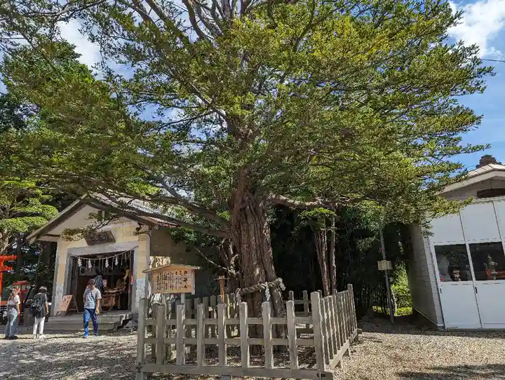 湯倉神社の自然