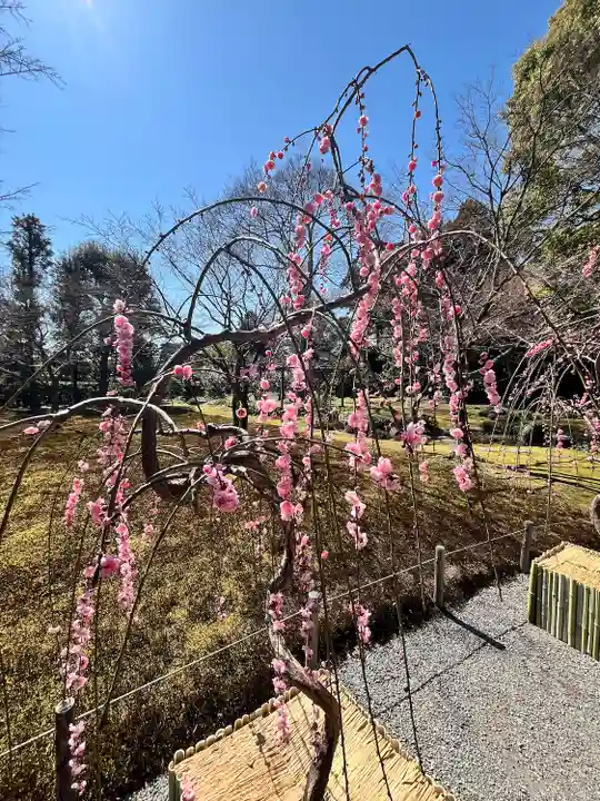 城南宮(京都府)
