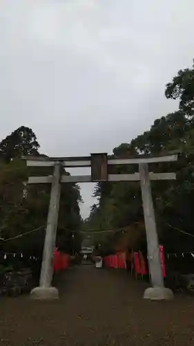 都農神社の鳥居