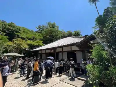 明月院(神奈川県)
