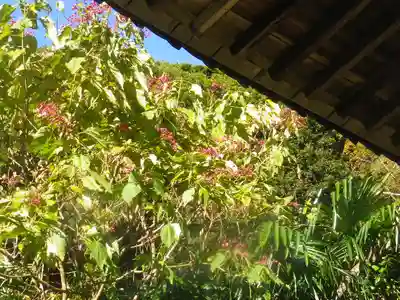 瑞泉寺のその他建物