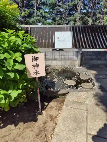 鳩ヶ谷氷川神社(埼玉県)