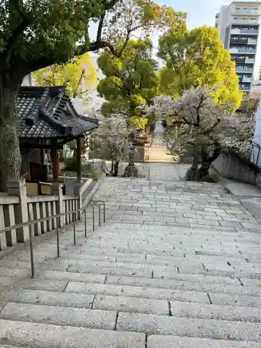 高津宮(大阪府)