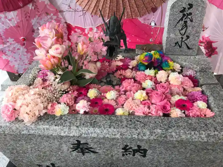 札幌諏訪神社の手水舎