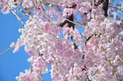 法輪院のその他建物