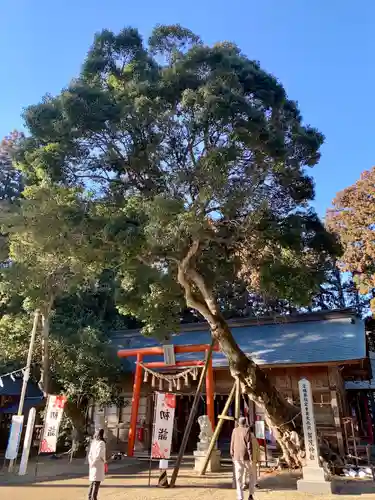 賀茂神社(宮城県)