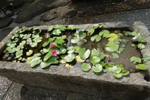 太融寺の手水