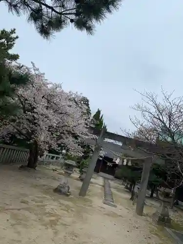 早長八幡宮の鳥居