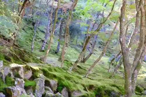 慈照寺（慈照禅寺・銀閣寺）の自然