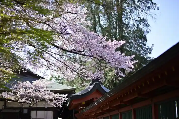 富士山本宮浅間大社(静岡県)