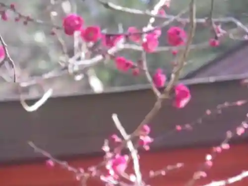 荏柄天神社の自然