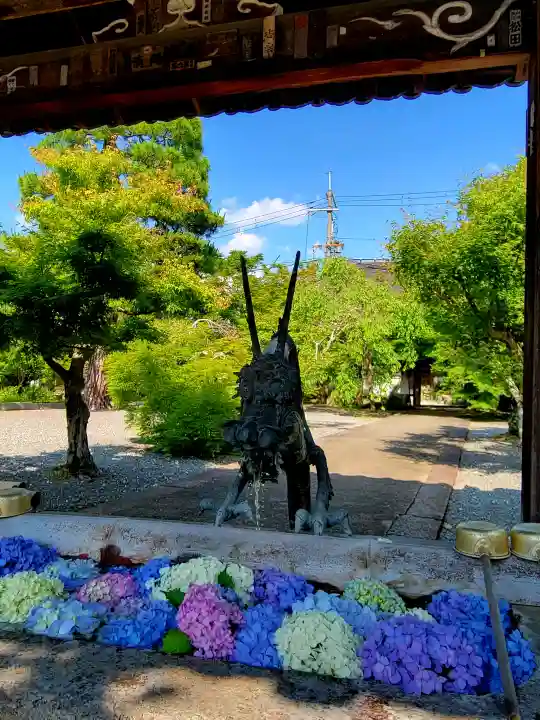 穴太寺(京都府)