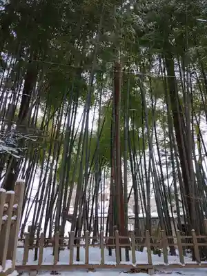 花巻温泉稲荷神社(岩手県)
