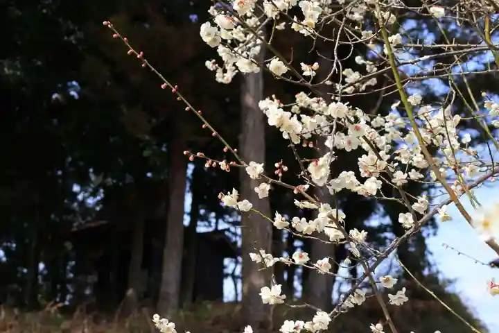 隠津島神社の末社・摂社