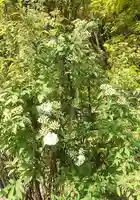 比佐豆知神社(三重県)