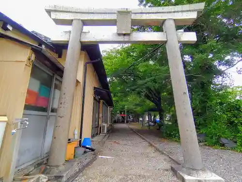 港陽八幡神社の鳥居