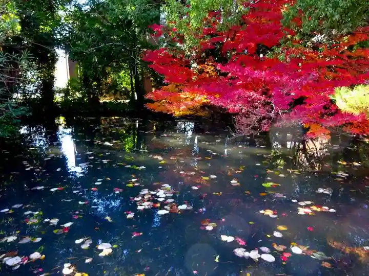 神照寺(滋賀県)
