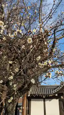 興正寺(京都府)