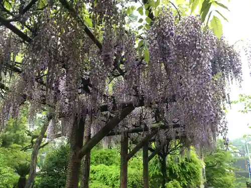 與止日女神社の自然
