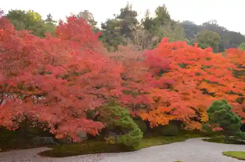 天授庵の庭園