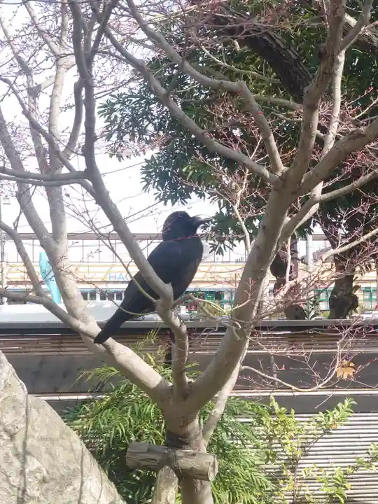 白旗神社(神奈川県)