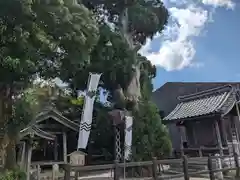 春日神社(岐阜県)