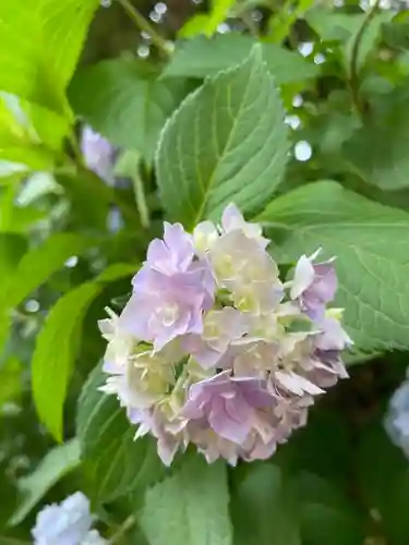 上野東照宮の自然