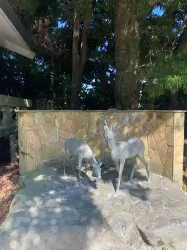 志賀海神社(福岡県)