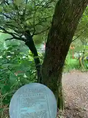 沼鉾神社の自然