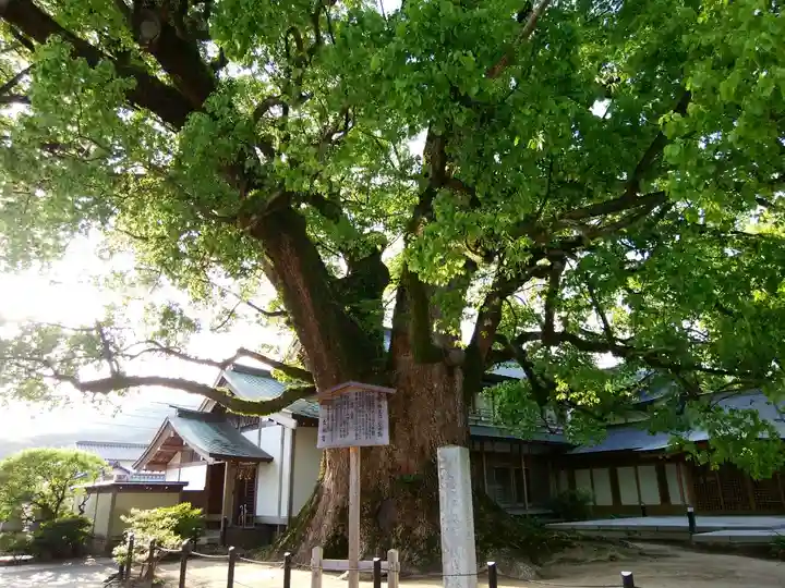 太宰府天満宮(福岡県)