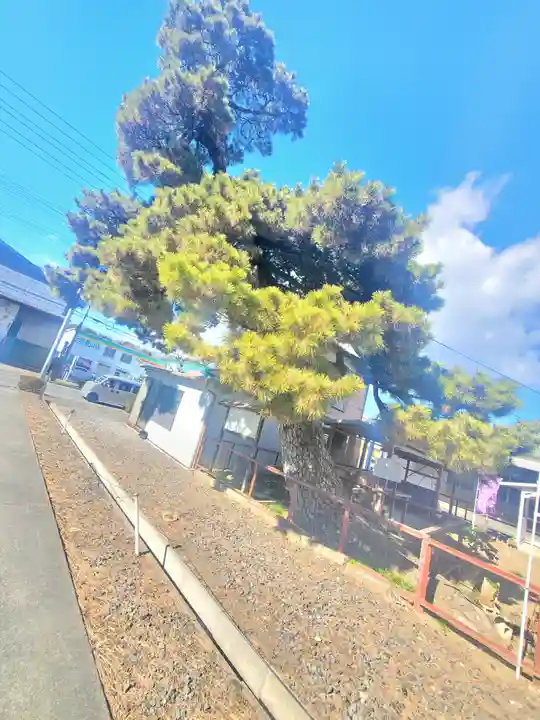 助戸阿弥陀堂(栃木県)