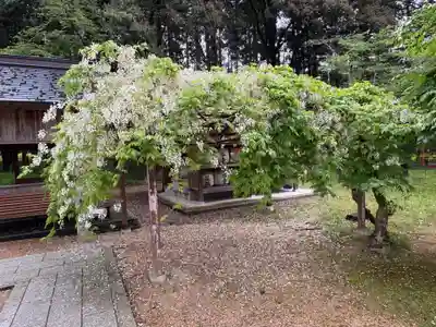 出石神社(兵庫県)