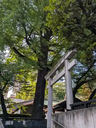 熊野神社(東京都)