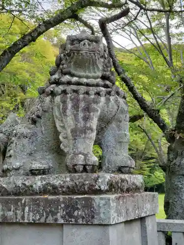 靜岡縣護國神社の狛犬