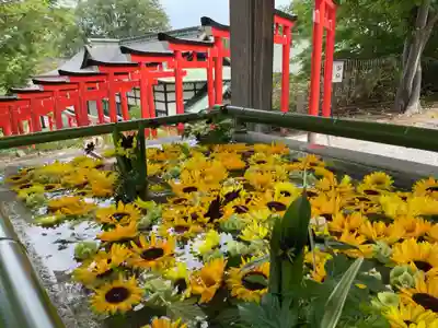 住吉神社の手水舎