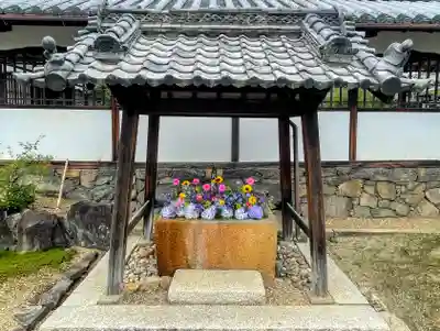 興聖寺（興聖寶林禅寺）の手水舎