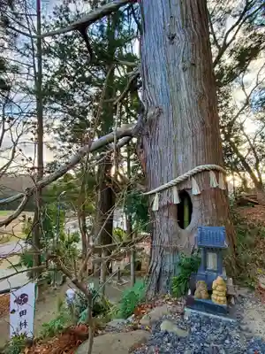 阿久津「田村神社」（郡山市阿久津町）旧社名：伊豆箱根三嶋三社(福島県)