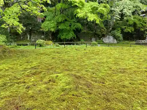 大原寺勝林院(京都府)
