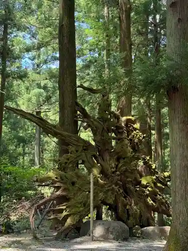 水屋神社(三重県)