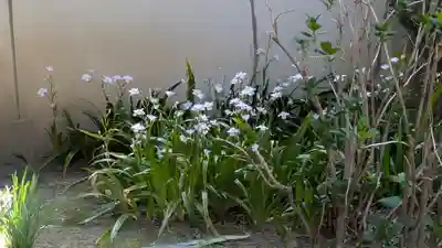 上宮王院聖徳寺(京都府)