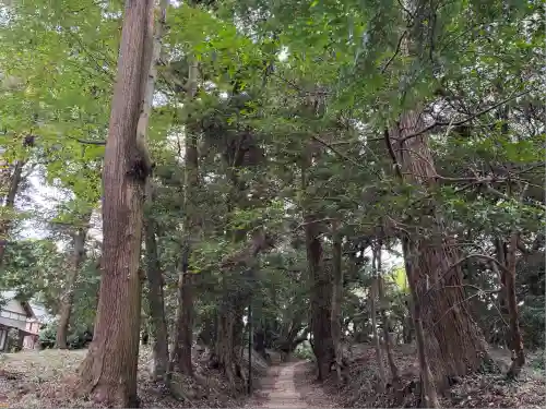 縣神社(千葉県)