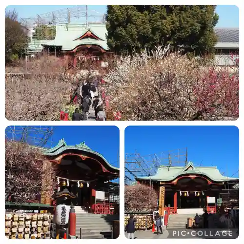 亀戸天神社(東京都)
