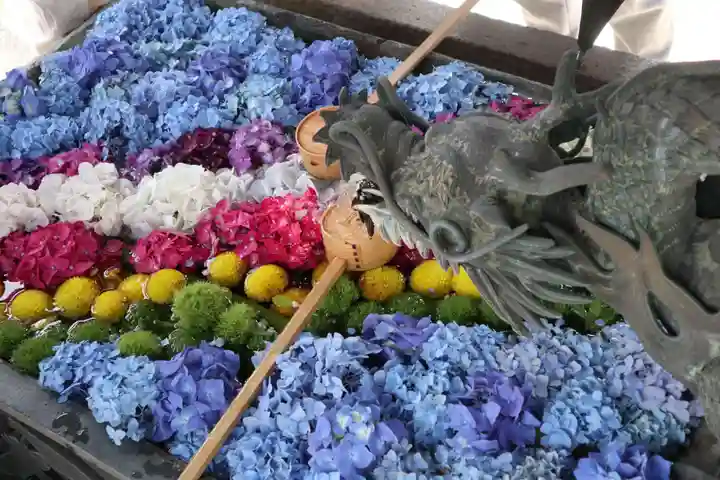 柳谷観音 楊谷寺の手水舎