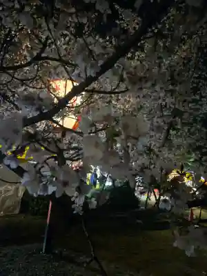 八坂神社(祇園さん)の{uncategorized: "未分類", other: "その他", undefined: "問題あり", building: "その他建物", grave: "お墓", sacred_gate: "鳥居", guardian: "狛犬", statue: "像", buddha: "仏像", history: "歴史", nature: "自然", garden: "庭園", animal: "動物", pagoda: "塔", temizu: "手水舎", mountain_gate: "山門・神門", sanctuary: "本殿・本堂", subordinate: "末社・摂社", art: "芸術", scenery: "景色", jizo: "地蔵", ema: "絵馬", goshuin: "御朱印", omikuji: "おみくじ", items: "授与品その他", amulet: "お守り", goshuincho: "御朱印帳", eats: "食事", festival: "お祭り", votive_dance: "神楽", shichigosan: "七五三参", wedding: "結婚式", experience: "体験その他", initially: "初詣", around: "周辺", anti_infection: "感染症対策"}