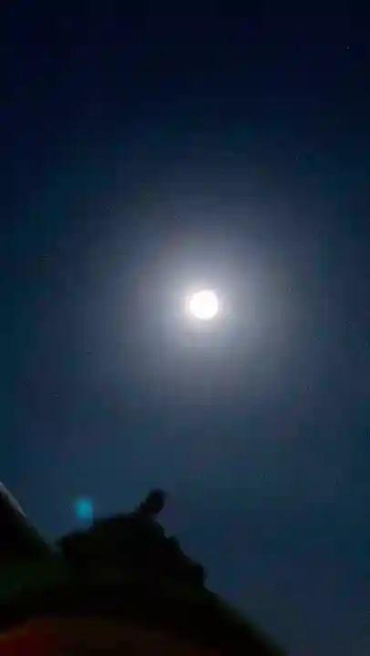 多治速比売神社(大阪府)