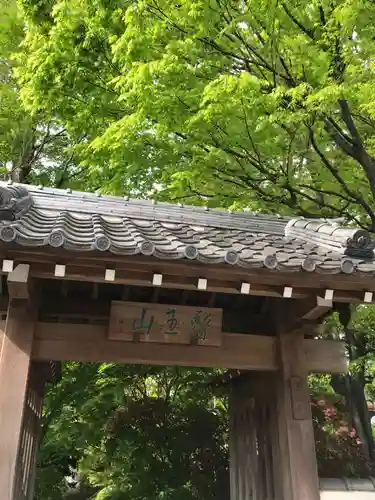 薬師寺の山門