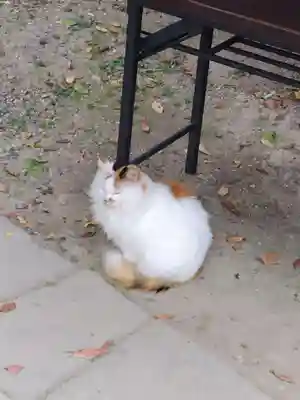 阿邪訶根神社(福島県)