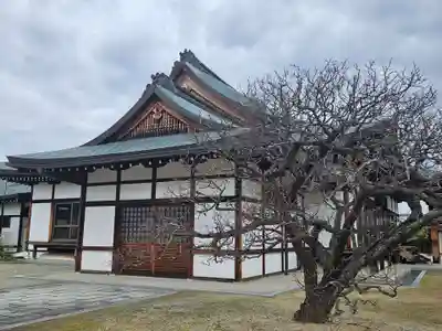 薬師寺(奈良県)