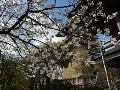 大雲院(京都府)