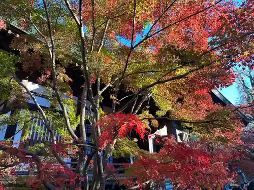 淨眞寺(東京都)